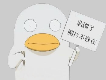 ZDP Attended the BATIMATEC Expo 2017 in Algeria